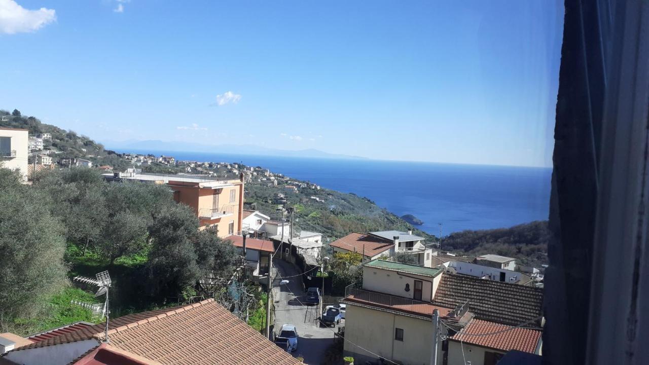 Il Quadrifoglio Βίλα Massa Lubrense Εξωτερικό φωτογραφία